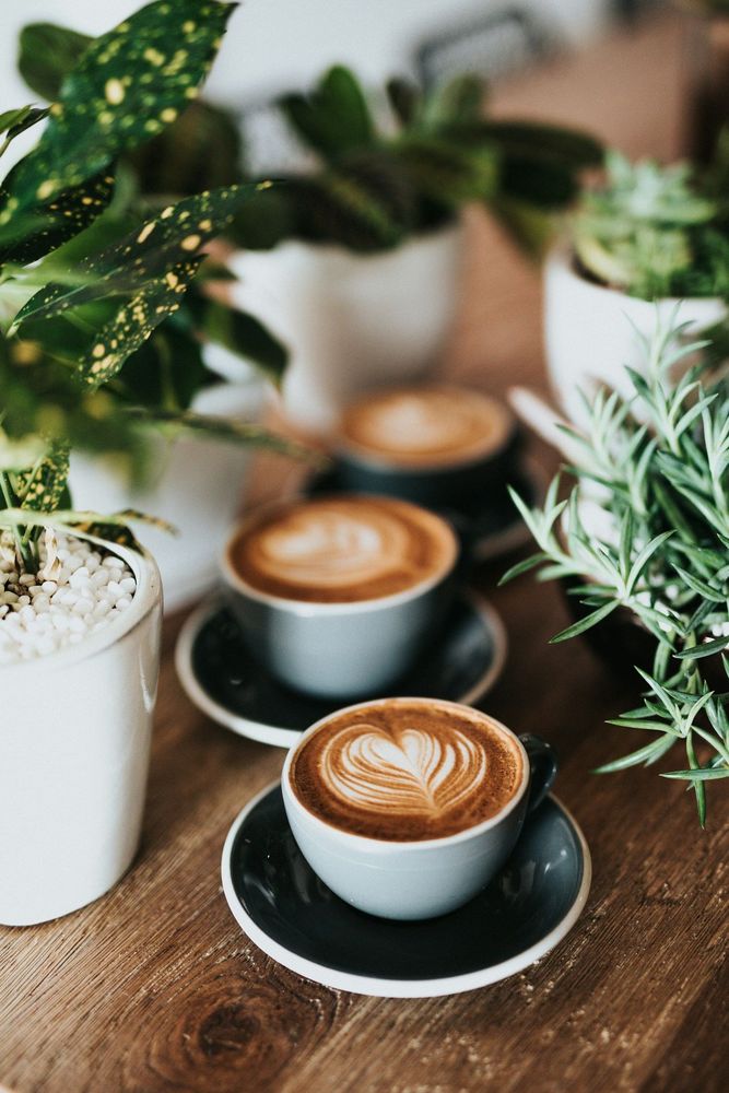 5 épices parfaites pour booster votre café matinal et faire le plein d'énergie | So Busy Girls