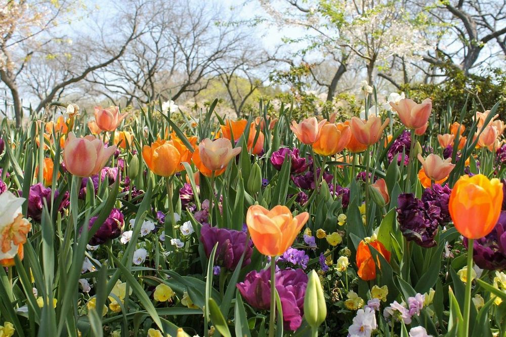 Horoscope du dimanche 6 avril 2025 : les prédictions complètes pour chaque signe astrologique | So Busy Girls