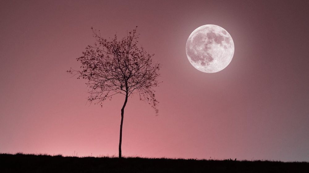 « Je me sens seul alors que je ne le suis pas » : cette pleine lune du 2 avril 2026 pourrait provoquer un déclic troublant | So Busy Girls