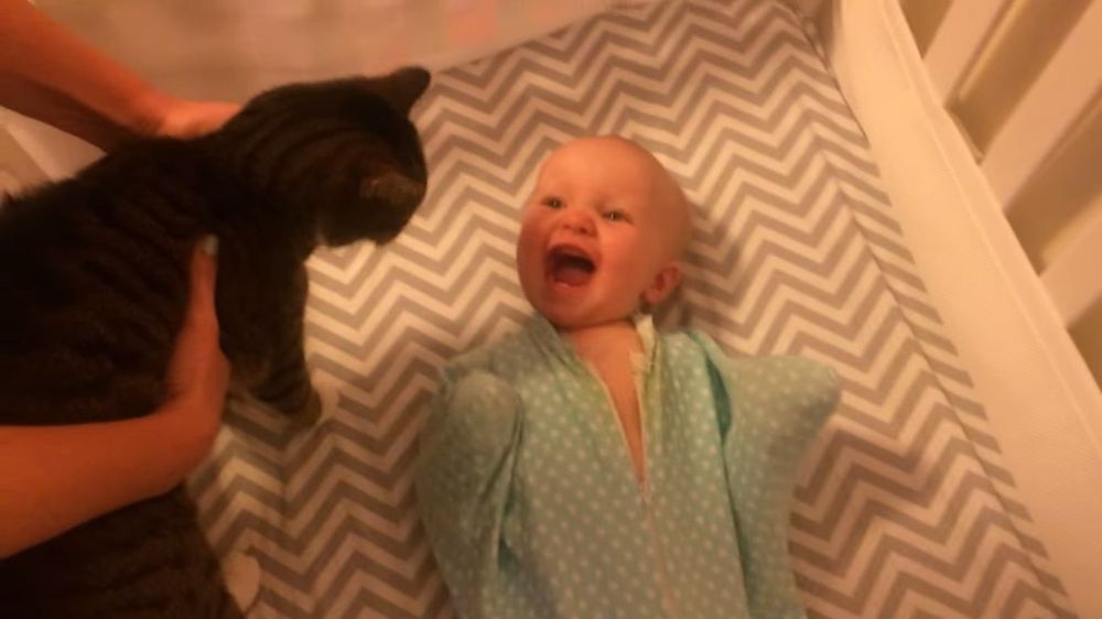 Le bébé rit aux éclats à chaque fois que sa maman lui montre leur chat ! | So Busy Girls