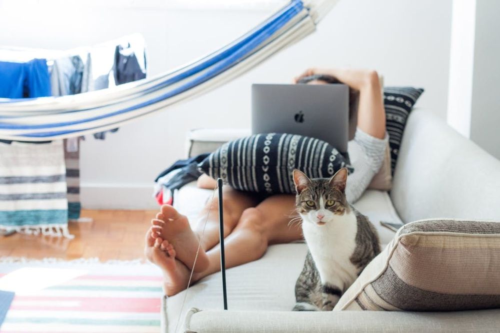 C'est prouvé : votre chat n'a pas besoin de vous voir pour savoir exactement où vous êtes ! | So Busy Girls