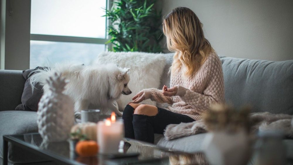 8 huiles essentielles pour purifier l'air intérieur | So Busy Girls