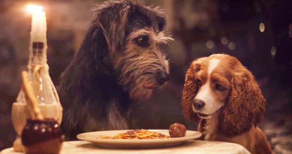 Découvrez la toute nouvelle bande-annonce du film La Belle et le Clochard en live action | So Busy Girls