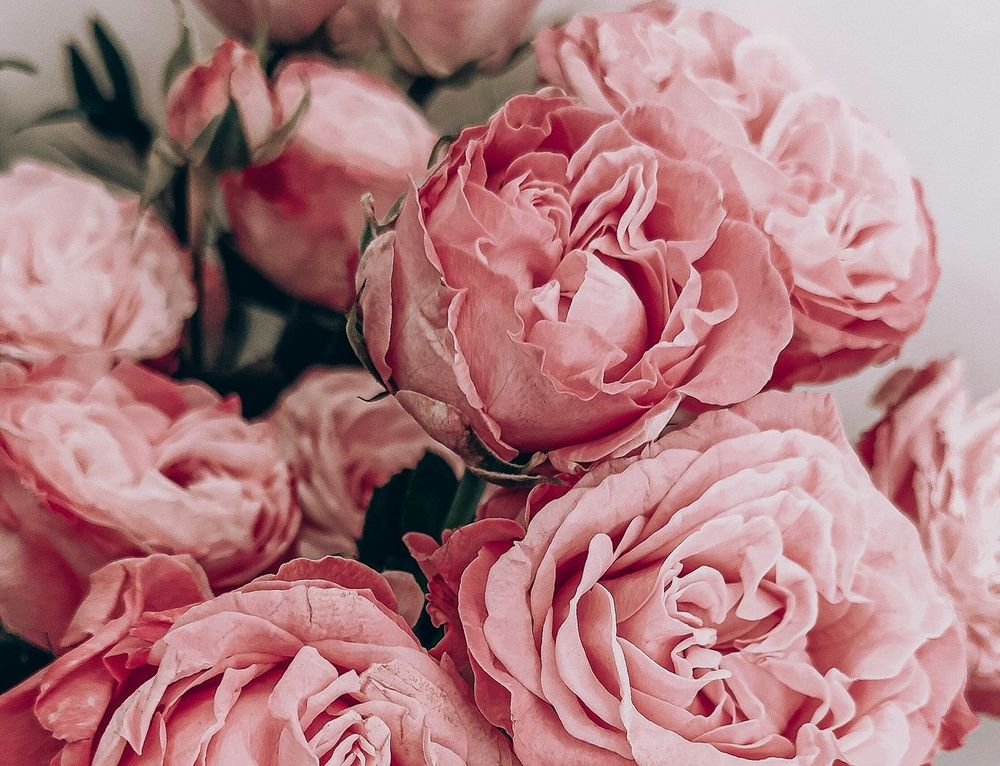 Horoscope du jeudi 5 juin 2025 : ce que les astres vous réservent aujourd’hui | So Busy Girls