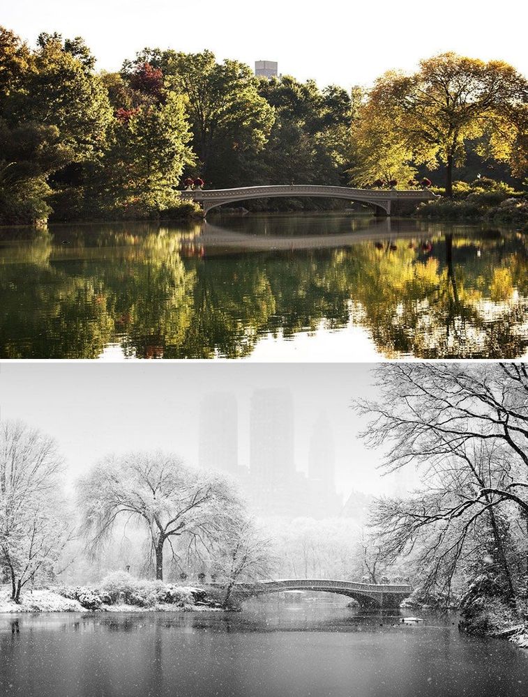 Central Park à New York aux Etats-Unis | So Busy Girls