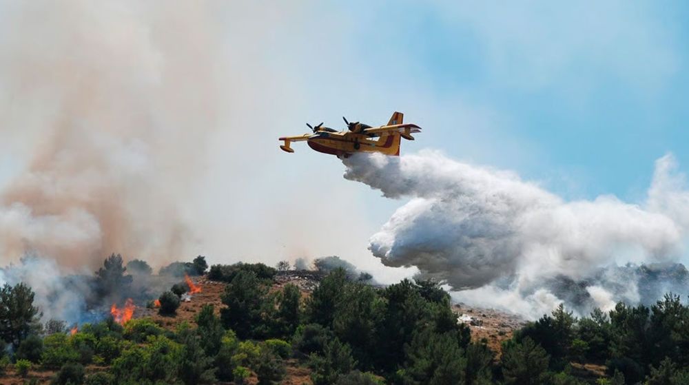 Incendies : pourquoi le Sud de la France est de plus en plus touché chaque été | So Busy Girls