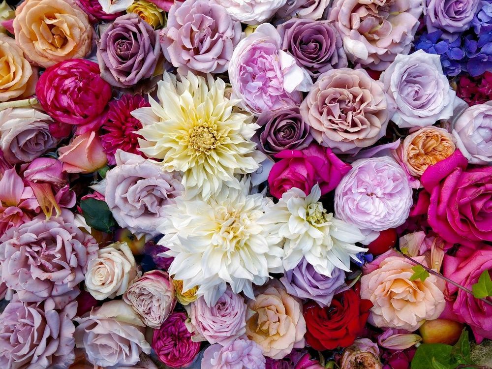 Horoscope dimanche 12 octobre 2025 : voici ce que les astres vous réservent aujourd’hui | So Busy Girls