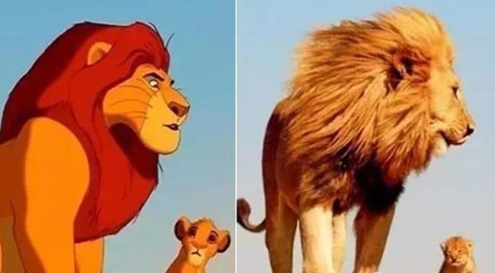 14 animaux qui sont les copies conformes de nos personnages de dessins animés préférés | So Busy Girls
