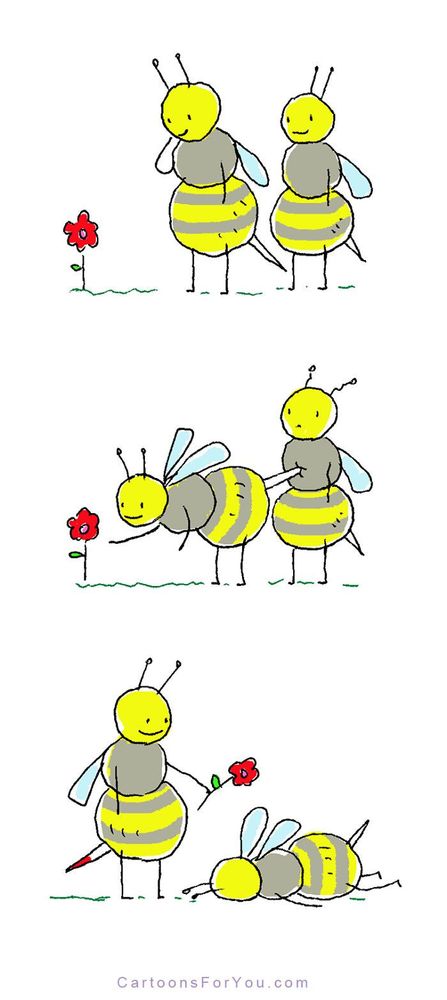 13 bandes dessinées amusantes sur les animaux | So Busy Girls