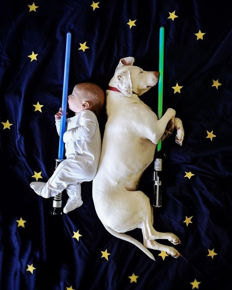 Ce bébé de 8 mois et cette chienne adorent faire la sieste ensemble... et ils sont trop mignons ! | So Busy Girls