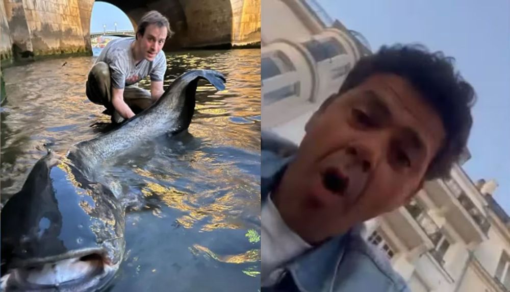 Scène surréaliste à Paris : un poisson géant surgit de la Seine devant Jamel Debbouze | So Busy Girls