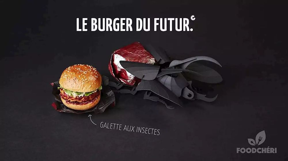 FoodChéri lance le « burger du futur » à base d'insectes | So Busy Girls