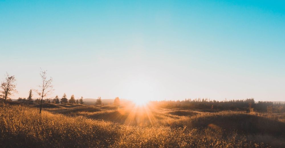 Horoscope samedi 21 mars 2026 : ces signes vivent une transformation silencieuse aujourd’hui | So Busy Girls