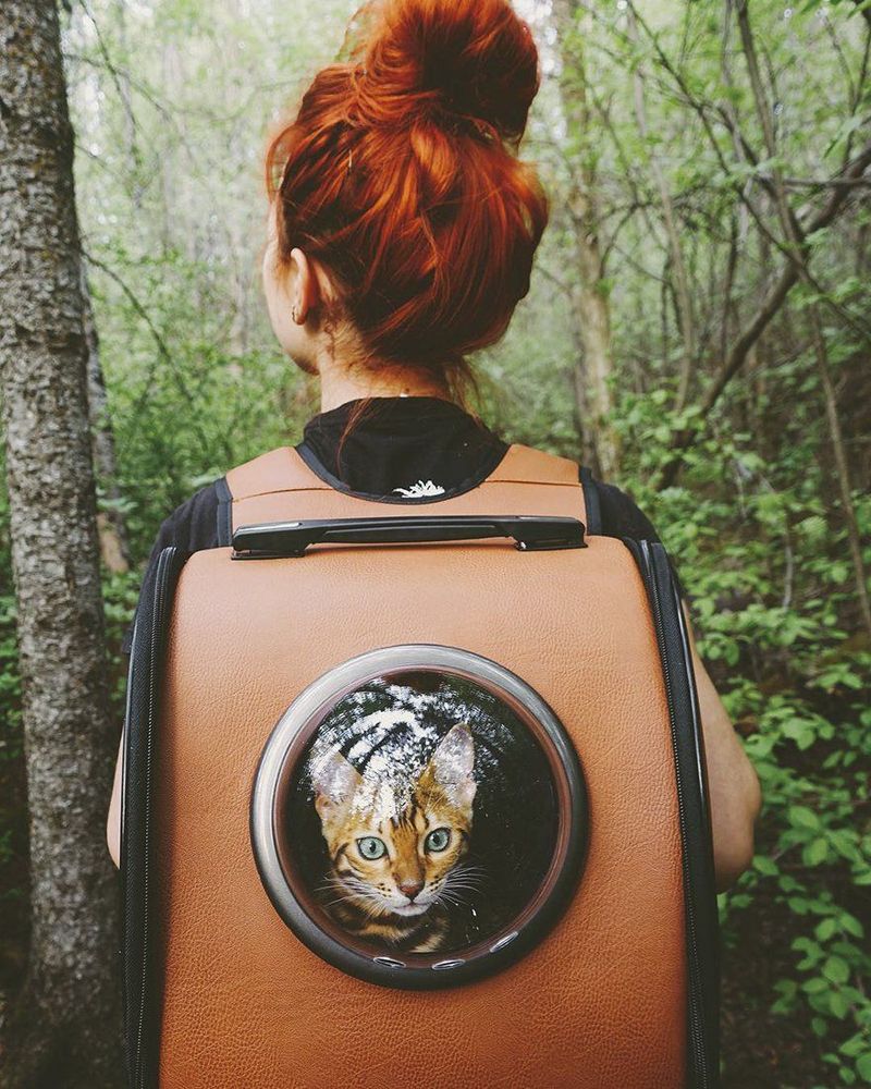Découvrez Suki, le chat Bengal qui fait le tour du monde avec sa maîtresse | So Busy Girls