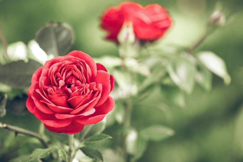 Horoscope du lundi 27 octobre 2025 : voici ce que les astres vous réservent aujourd’hui | So Busy Girls