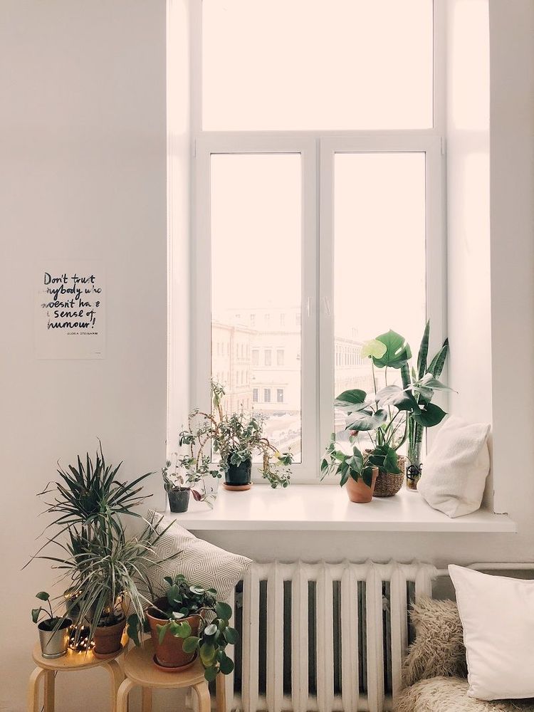 2 astuces simples et efficaces pour garder ses plantes en vie pendant les vacances | So Busy Girls