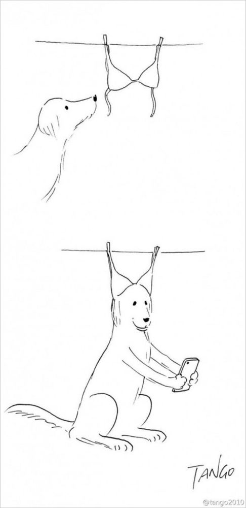 Vous allez adorer ces 18 illustrations très amusantes et pleines d'humour | So Busy Girls