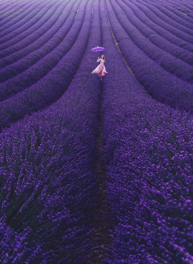 Valensole en Provence | So Busy Girls