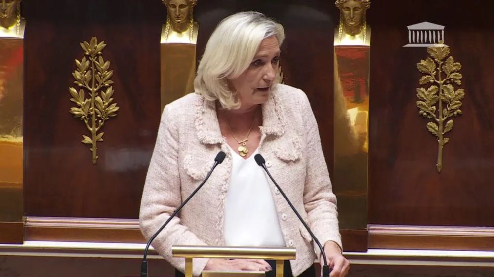 Surprise totale : David Rachline annonce sa démission quelques heures après l’intervention de Marine Le Pen | So Busy Girls
