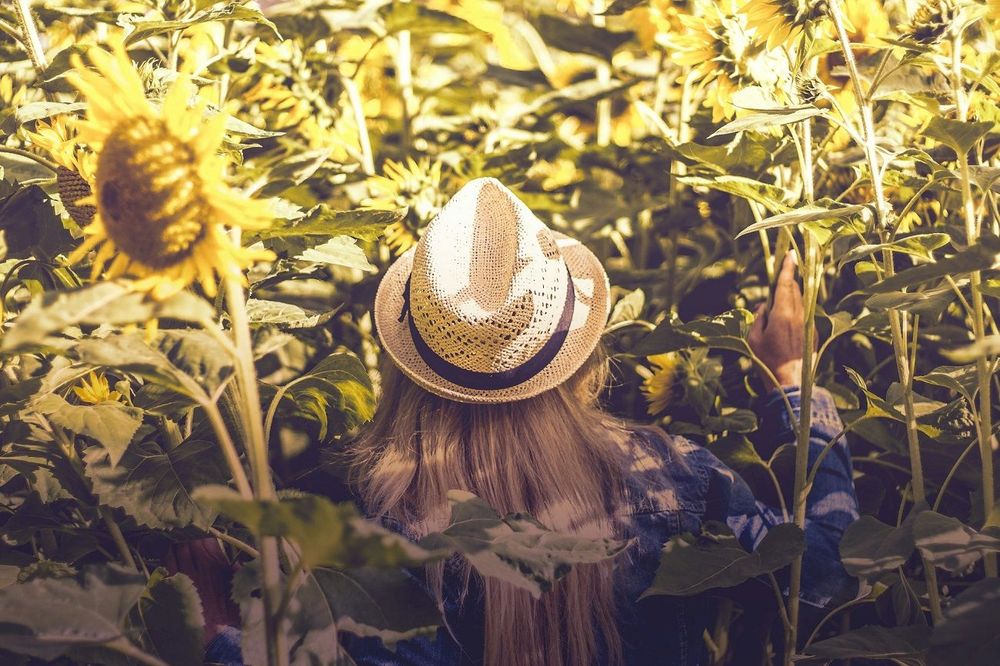 Canicule : voici les départements en vigilance orange ce mardi 24 juin | So Busy Girls