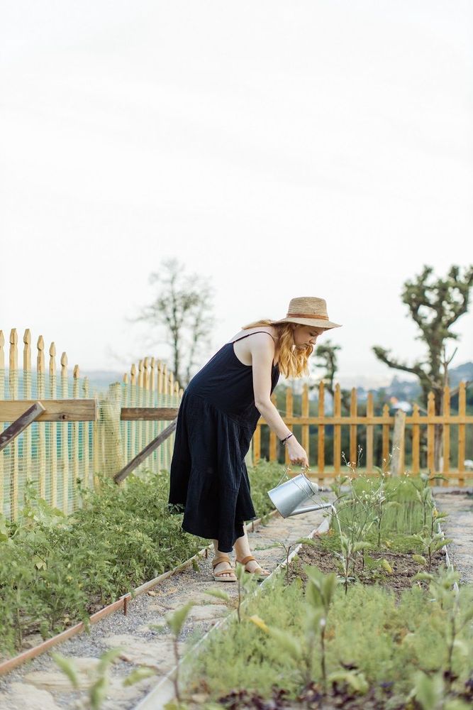 3 conseils pour bien réussir son carré potager | So Busy Girls