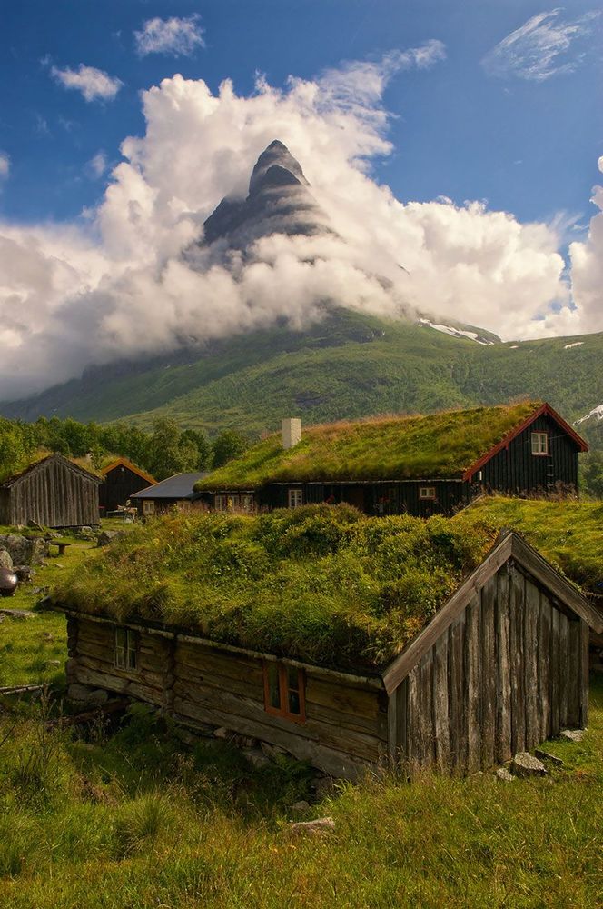 15 maisons scandinaves avec un toit végétal qui semblent tout droit sorties d'un conte de fées | So Busy Girls