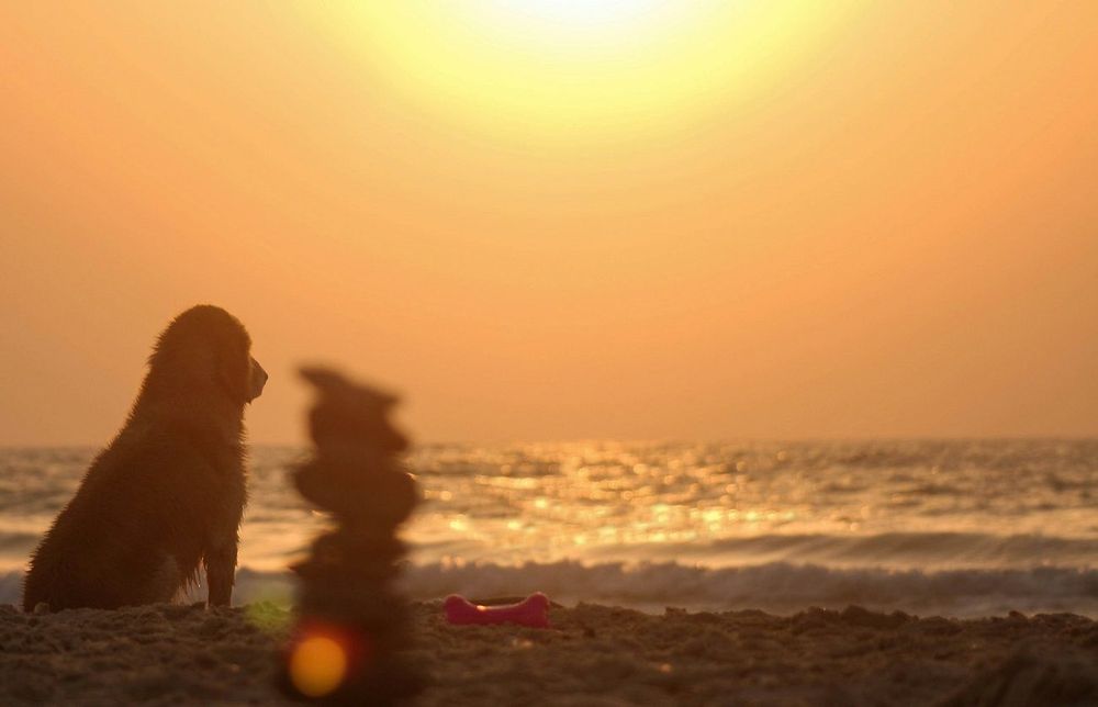 Canicule ce mercredi : ces 18 départements en vigilance jaune face à la montée des températures | So Busy Girls