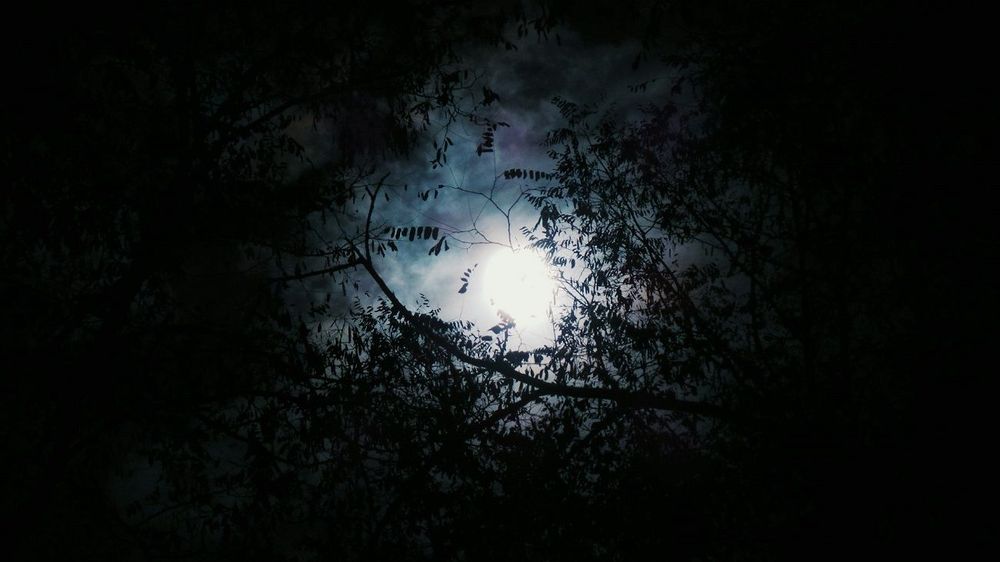 Lune noire : ce qu'il faut savoir sur le phénomène astronomique attendu dans la nuit de samedi 23 à dimanche 24 août | So Busy Girls