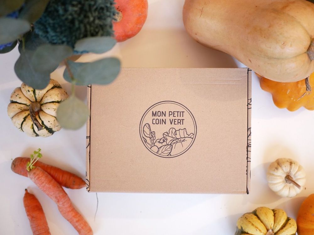 5 bonnes raisons d’offrir une box jardinage Mon Petit Coin Vert pour Noël | So Busy Girls