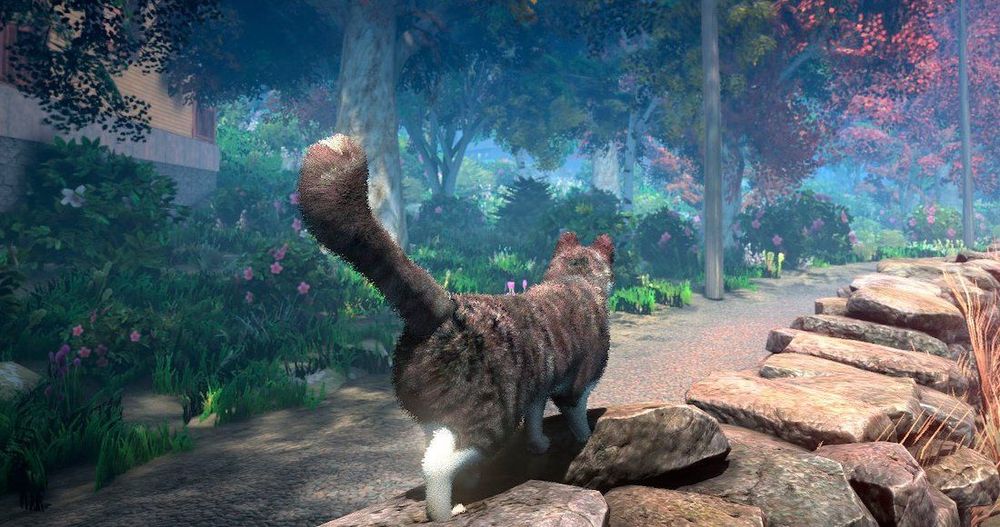 Peace Island, ce jeu apaisant pour vivre aussi librement qu'un chat et découvrir des paysages sublimes | So Busy Girls