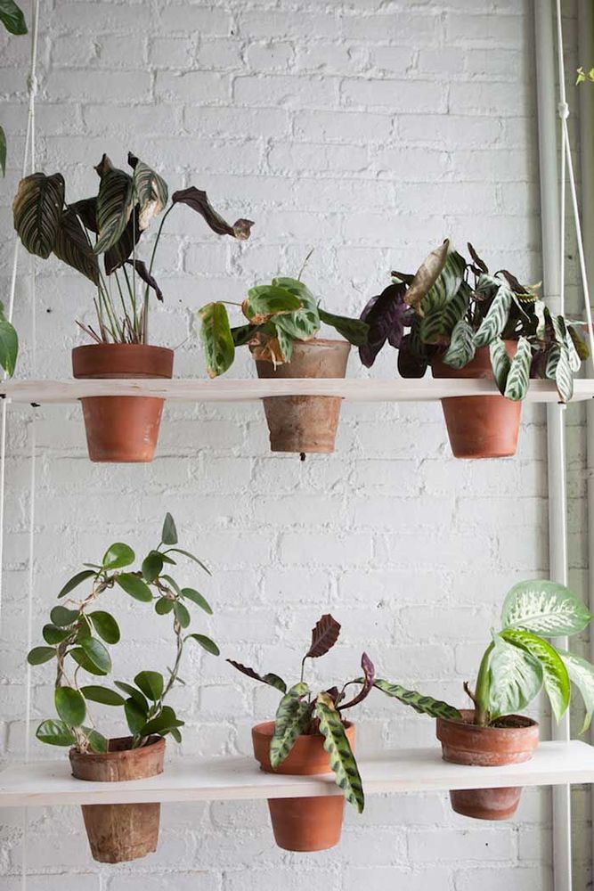 Cette jeune femme a planté plus de 500 plantes dans son appartement new-yorkais et l'a transformé en vrai jungle d'intérieur | So Busy Girls