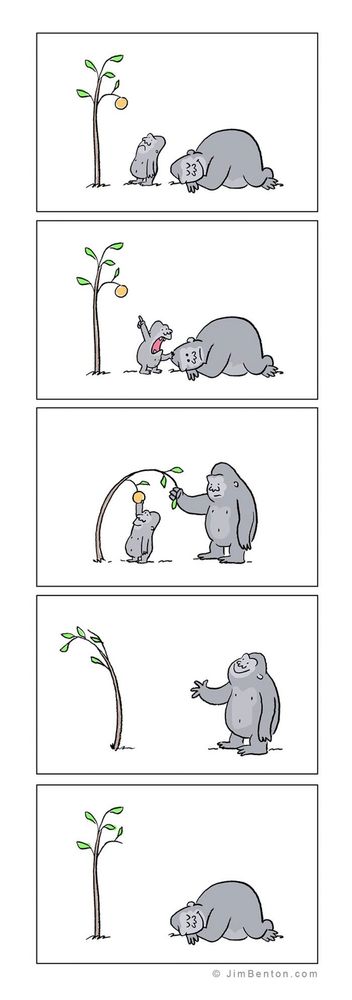 13 bandes dessinées amusantes sur les animaux | So Busy Girls
