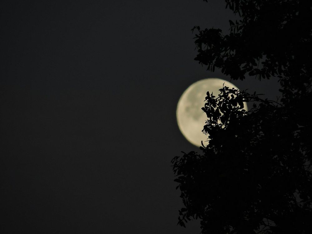 Pourquoi la Super Lune 2025 est bien plus rare qu’on ne le pense | So Busy Girls