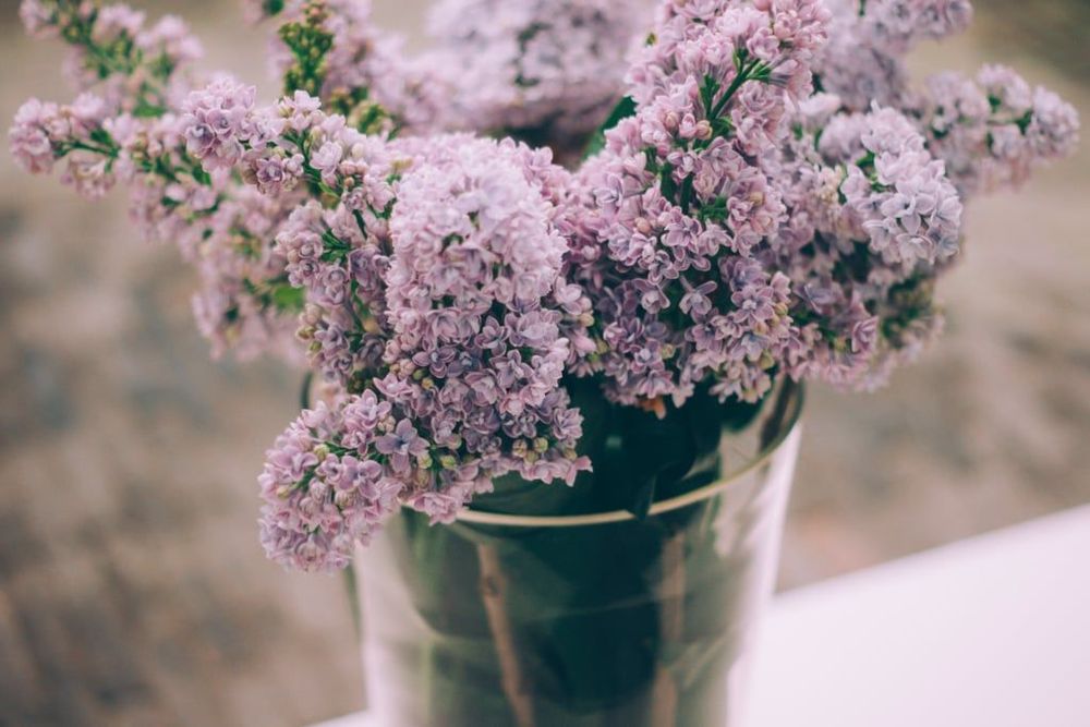 3 huiles essentielles pour éviter le stress à la rentrée | So Busy Girls