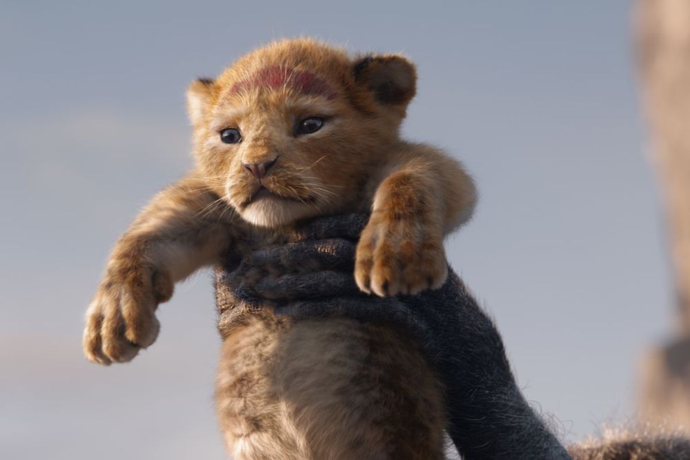 Le Roi Lion devient le plus gros succès mondial de tous les temps pour un film d'animation | So Busy Girls