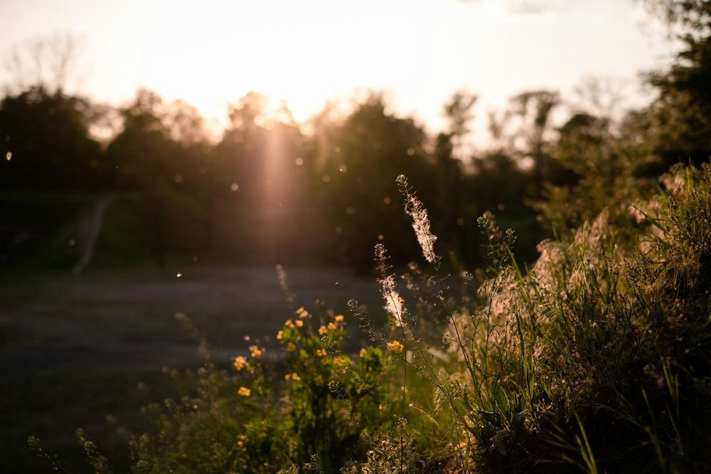 Pollens et allergies : ce traitement radical permet enfin de dire adieu aux symptômes | So Busy Girls