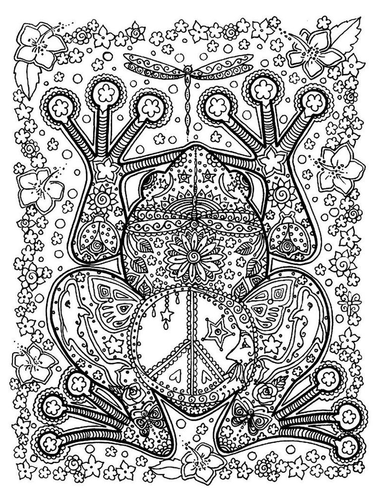 Une grenouille | So Busy Girls