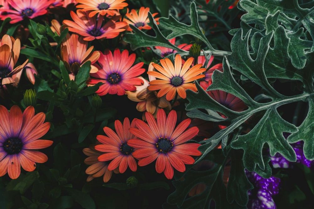Horoscope jeudi 9 octobre 2025 : voici ce que les astres vous réservent aujourd’hui | So Busy Girls