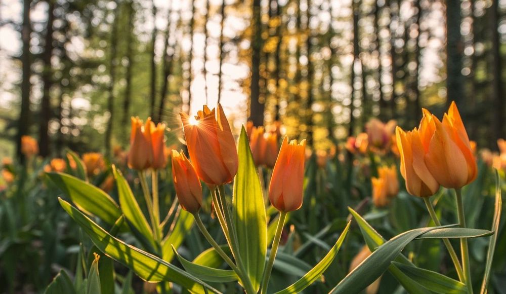 Voici à quelle météo vous attendre ce week-end | So Busy Girls