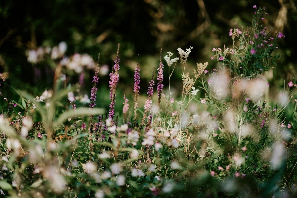Horoscope du vendredi 11 avril 2025 : les prédictions complètes pour chaque signe astrologique | So Busy Girls