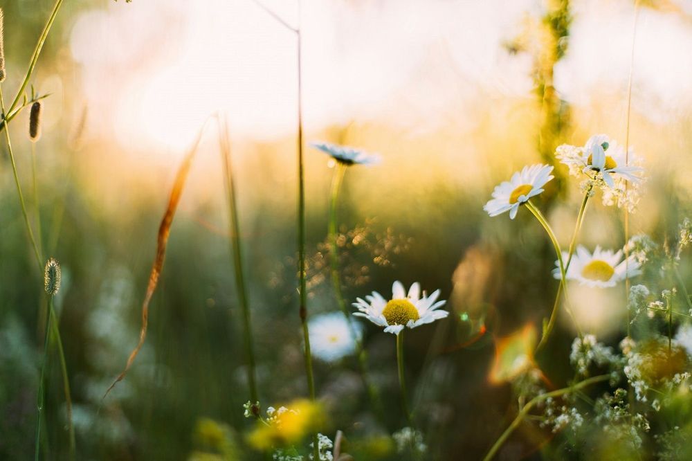 10 choses à faire au printemps pour profiter à fond de la saison | So Busy Girls