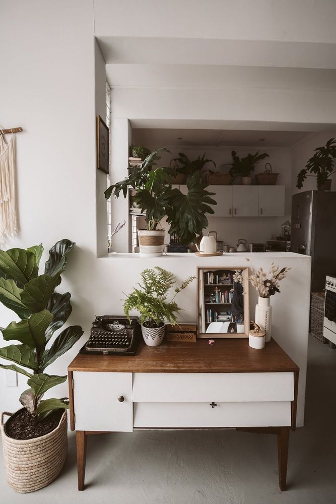 7 astuces naturelles pour chasser les moucherons qui envahissent vos plantes vertes | So Busy Girls