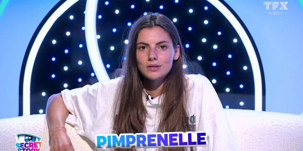 Pimprenelle (Secret Story) visée par de lourdes accusations de harcèlement : plusieurs témoins sortent du silence | So Busy Girls