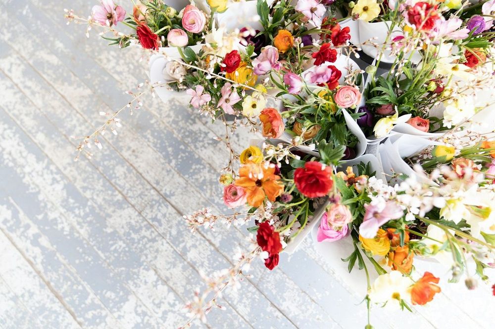 Horoscope du jeudi 17 avril 2025 : les prédictions complètes pour chaque signe astrologique | So Busy Girls