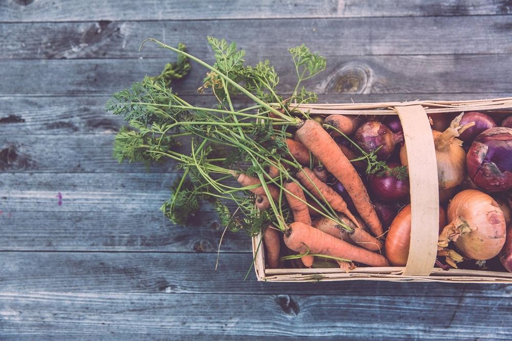 Créer un potager urbain au printemps : 7 astuces pour récolter vos propres légumes en ville | So Busy Girls