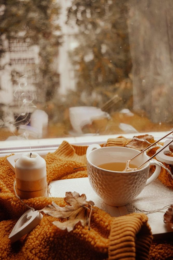 Cette tisane permettrait de diminuer les rides, et c'est prouvé ! | So Busy Girls