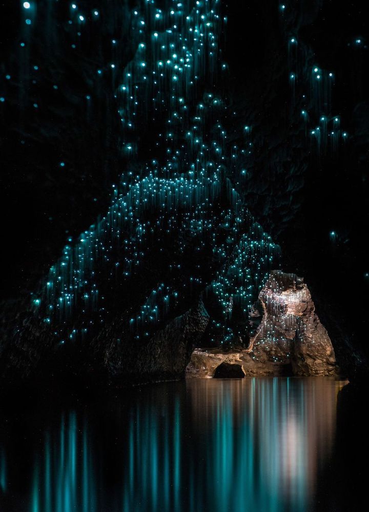 Des centaines de vers luisants transforment cette grotte néo-zélandaise en magnifique nuit étoilée | So Busy Girls