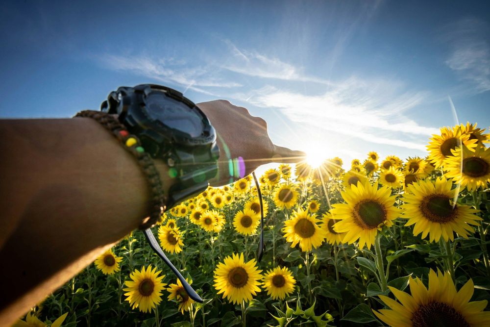 Horoscope du dimanche 12 avril 2026 : ces signes qui pourraient bien tout gagner aujourd’hui | So Busy Girls