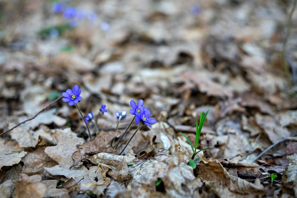 12 choses que vous devriez faire pour passer un excellent mois de mars | So Busy Girls