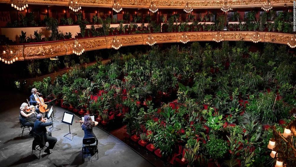 L'opéra de Barcelone joue devant 2300 plantes pour célébrer sa réouverture | So Busy Girls